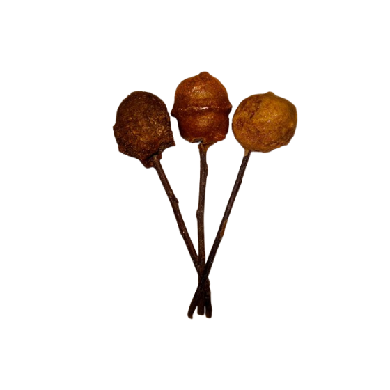 copia di CAKE POPS