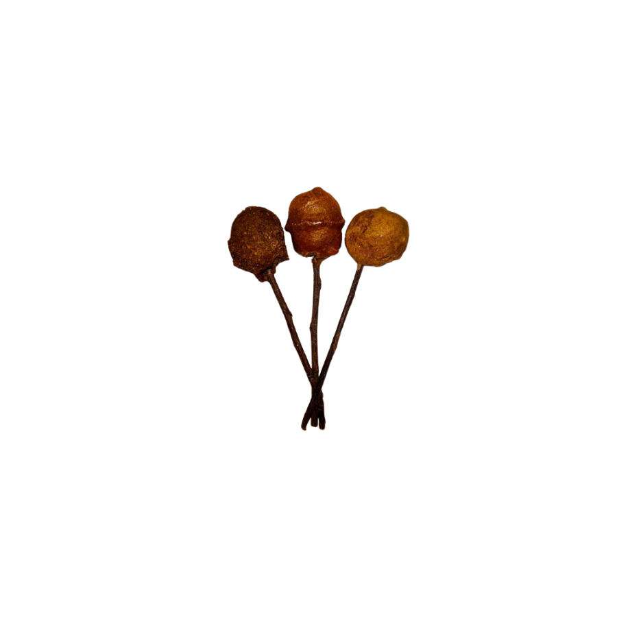 copia di CAKE POPS
