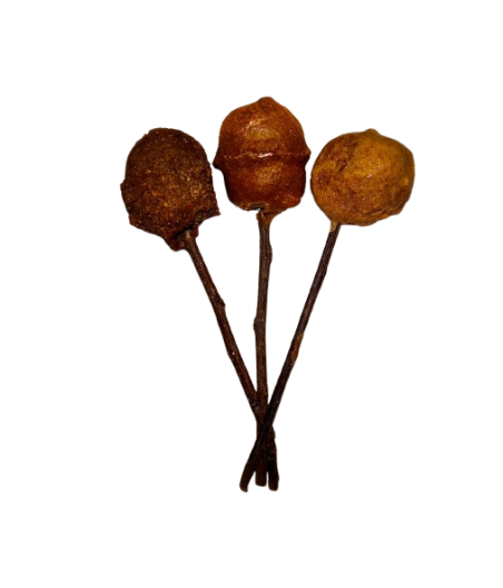 copia di CAKE POPS