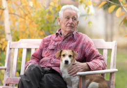 ¿PUEDO ADQUIRIR UN PERRO SIENDO UNA PERSONA MAYOR?