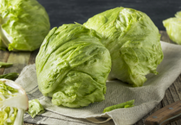 LOS PELIGROS DE LA LECHUGA ICEBERG PARA LAS PEQUEÑAS MASCOTAS