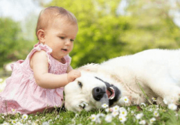 BENEFICIOS DE QUE TU BEBÉ CREZCA CON UNA MASCOTA