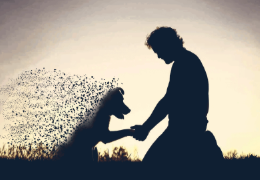 ¿CÓMO PASAR EL DUELO ANTE EL FALLECIMIENTO DE UNA MASCOTA?