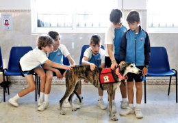 LA IMPORTANCIA DE LAS CHARLAS SOBRE ANIMALES EN EL COLEGIO