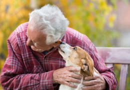BENEFICIOS DE LAS MASCOTAS EN LAS PERSONAS MAYORES
